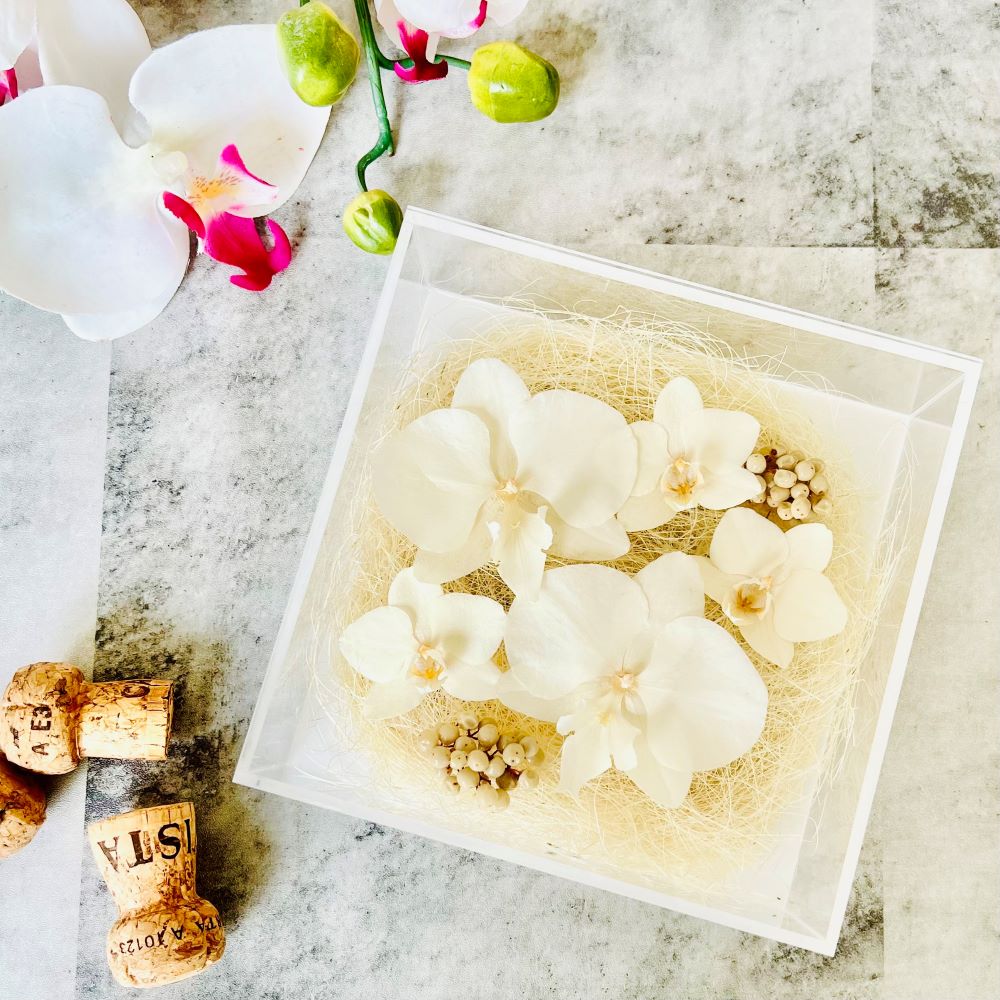 calando M -カランド M-　ホワイト